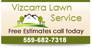 Vizcarra Lawn Services free-estimates Logo